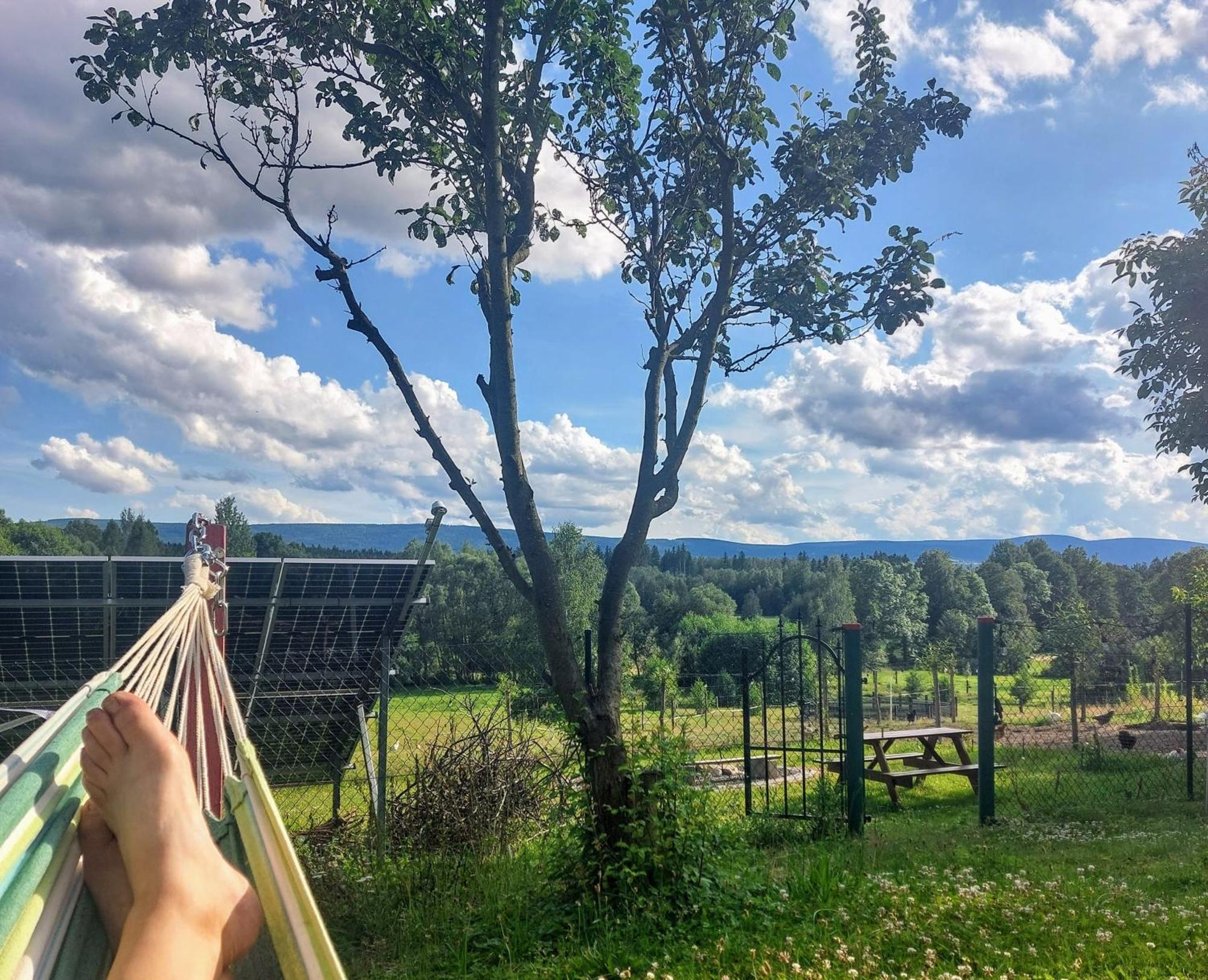 Maja Pokoje Z Widokiem Kameralna Agroturystyka Na Pogorzu Izerskim Z Sauna I Jacuzzi (Adults Only) Mirsk Dış mekan fotoğraf